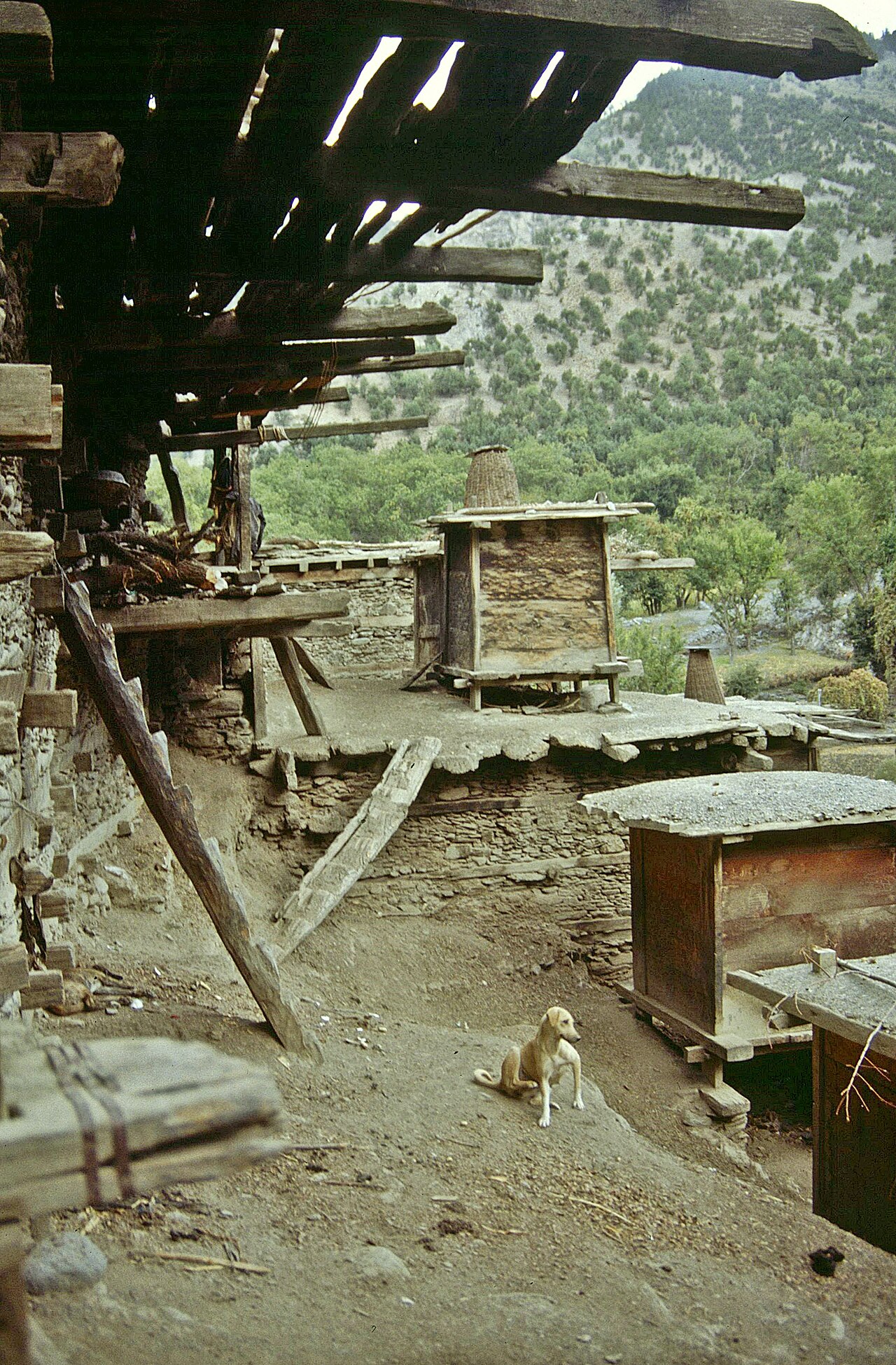 Stone and timber houses in Birir village, October 1990.