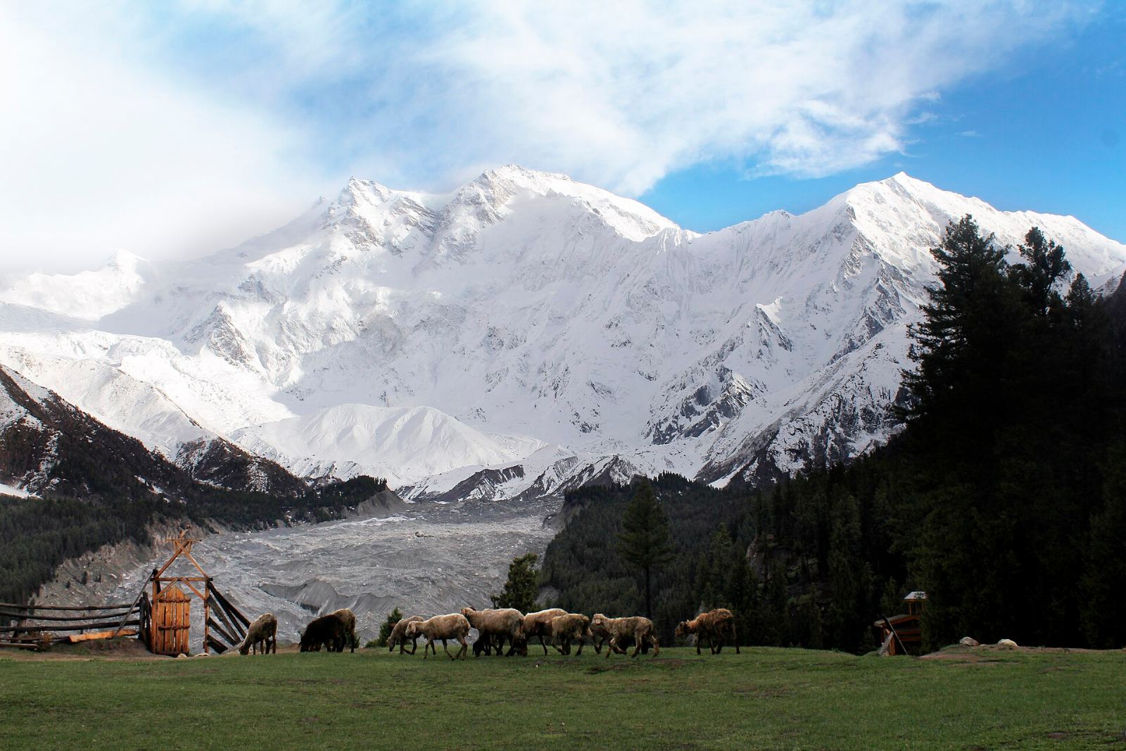 Nanga Parbat from Fairy Meadows