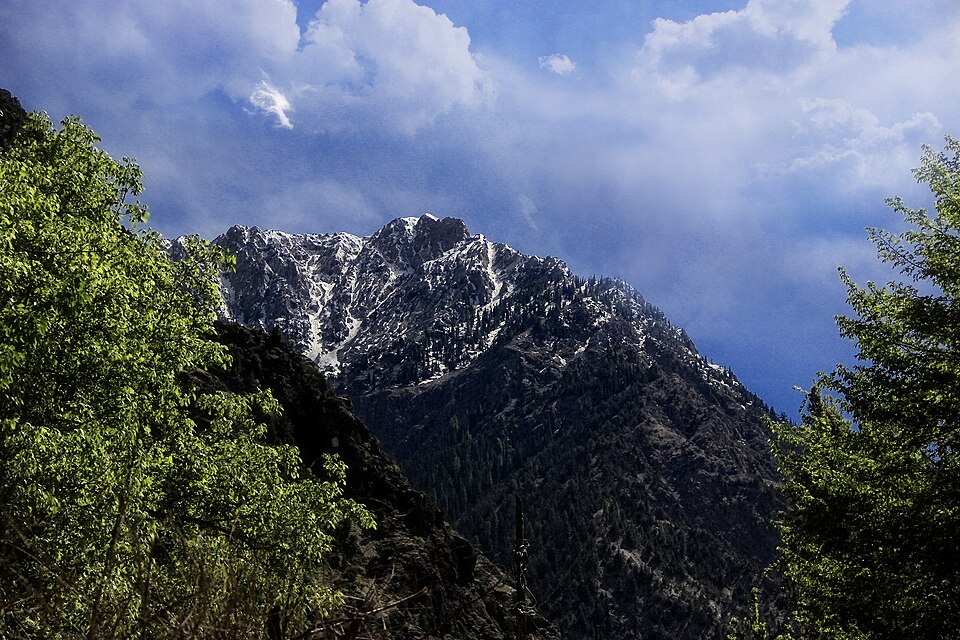 Forested slopes in Rumbur Valley