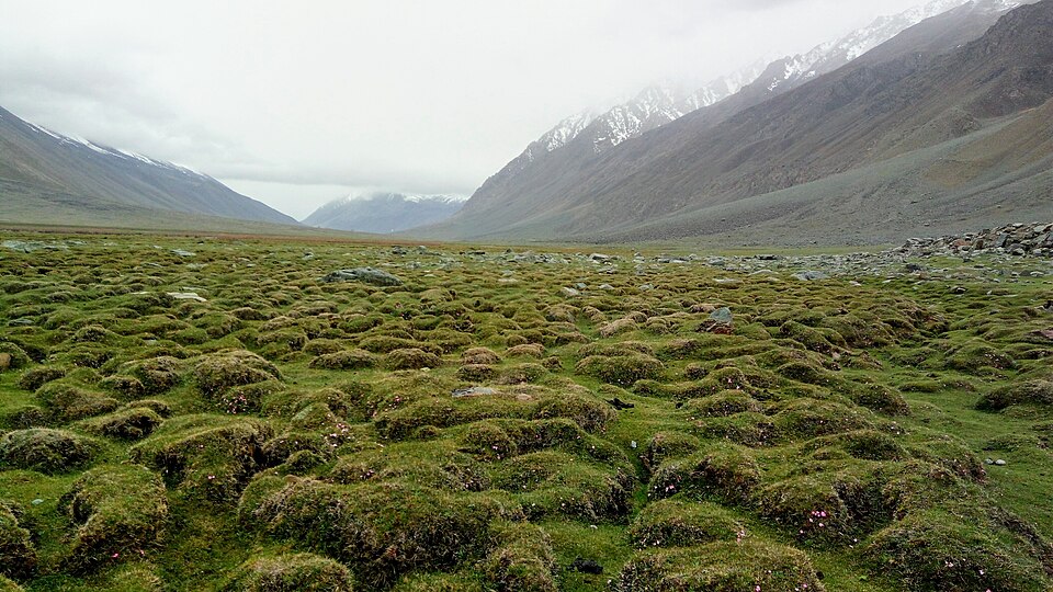Landscape on the approach to Shandur from Phandar
